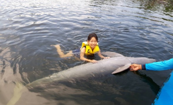 『子供キャンプ』イルカと泳ごう！みんなでキャンプ 1泊2日